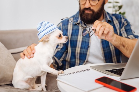 Glasses for dog. Great lover of pets feeling funny while putting black glasses on his cute white dogの写真素材