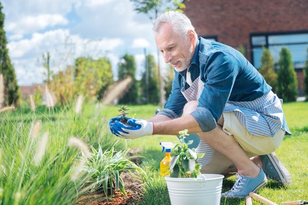 Excited man. Mature grey-haired man feeling extremely excited and cheerful while planting flower for the first timeの写真素材
