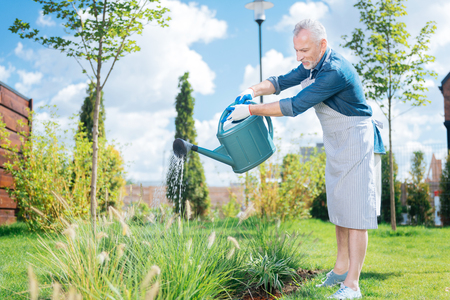 Hot summer. Grey-haired man wearing white gloves and striped apron using garden sprinkler on hot summer dayの写真素材