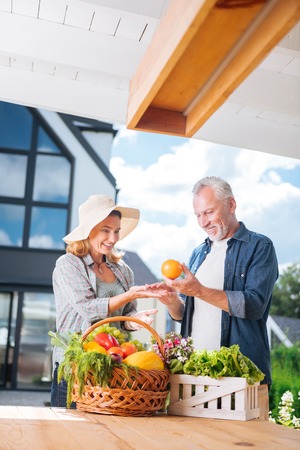 Orange from husband. Beaming bearded man taking fresh orange out of basket while standing near his appealing stylish wifeの写真素材