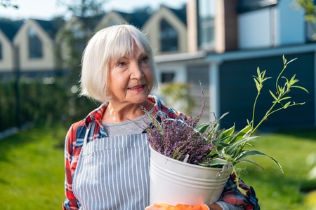Leisure. Pretty high-spirited woman holding a plant while working in the gardenの写真素材