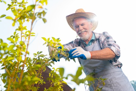 Perfect time. Joyful retired man smiling while having great time in the gardenの写真素材
