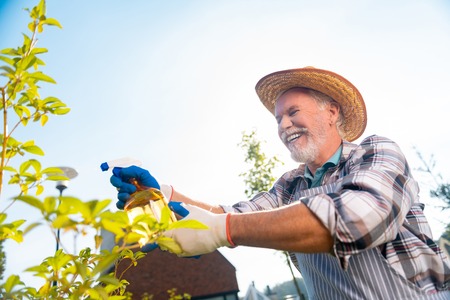 Gardener. Cheerful pleasant man feeling good while taking care of plants and treesの写真素材