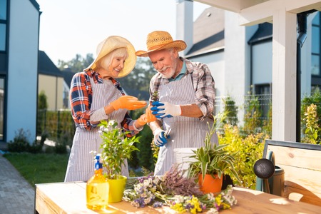 Weekend. Cheerful nice retired couple working together while being outsideの写真素材