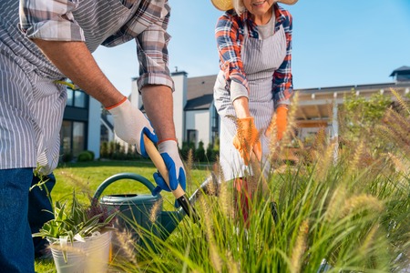 Cooperation. Pleasant retired wife and husband working together while being in the gardenの写真素材