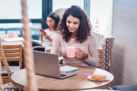 Professional freelancer. Joyful nice woman drinking tea while sitting in front of the laptopの写真素材