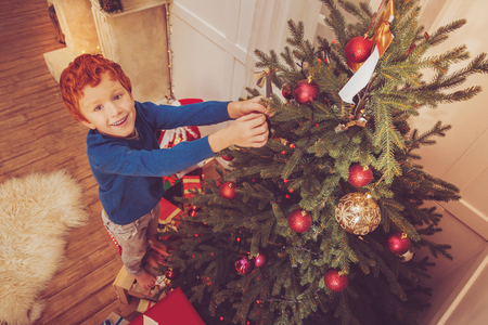 Exciting preparations. The top view of a charming upbeat ginger-haired boy standing on a small stool and decorating the Christmas tree while smiling at the cameraの写真素材