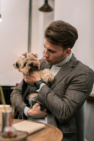 The best friends. A man taking care about small funny dogの写真素材