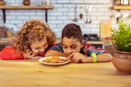 Love sweets. Relaxed children sitting in kitchen while looking at cookiesの写真素材