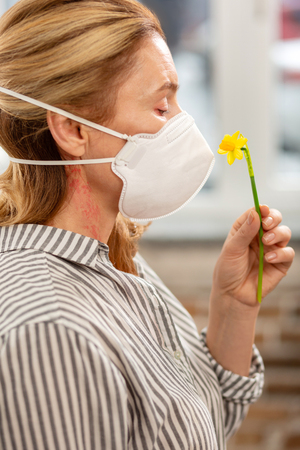 Little yellow flower. Blond woman suffering from allergy wearing mask while smelling little yellow flowerの写真素材