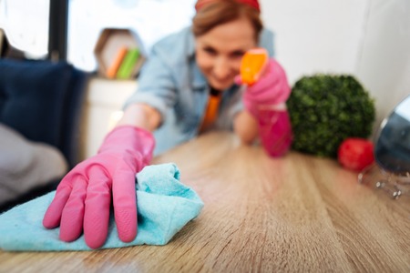 Wearing protective gloves. Resolute accurate woman fighting with dust in her apartment and spraying...