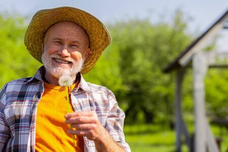 Man smiling. Beaming grey-haired retired man wearing straw hat smiling while holding dandelionの写真素材