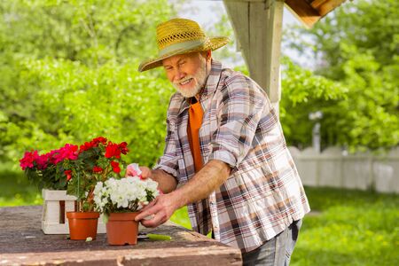 Near summer house. Bearded aged man living in summer house smiling while watering plantsの写真素材