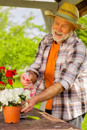 Man watering flowers. Bearded retired man feeling joyful while watering flowers in pots standing outsideの写真素材