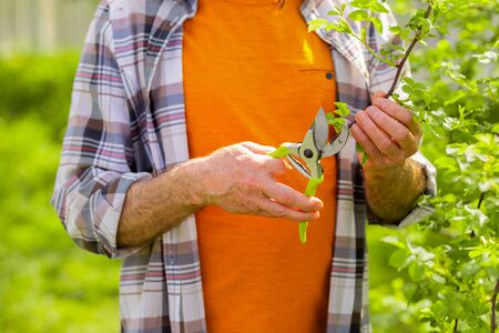 Holding pliers. Close up of man in orange t-shirt and squared shirt holding pliers for cutting branchesの写真素材