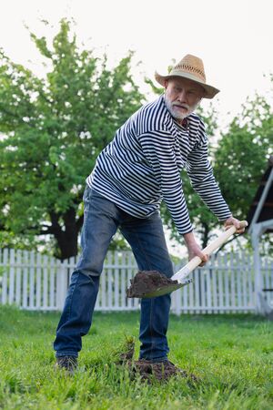 Near cottage house. Retired man wearing jeans digging ground near his cottage houseの写真素材
