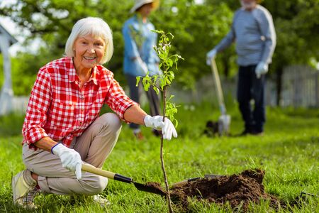 Lovely retired woman. Lovely retired woman wearing squared shirt smiling while planting tree near friendsの写真素材