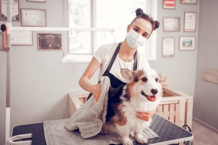 Woman near table. Dark-eyed young woman wearing uniform standing near table with dogの写真素材