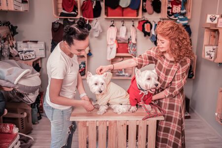Clothing for dogs. Top view of two stylish beaming friends choosing clothing for their cute dogs