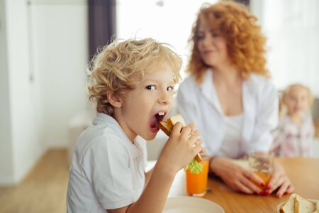 So hungry. Pleasant hungry blonde boy holding a sandwich while preparing to bite itの写真素材