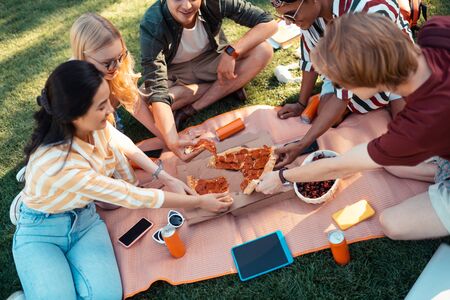 Time to eat. Smiling friends sitting together on the grass lawn sharing pizza and talking about their future exams.の写真素材