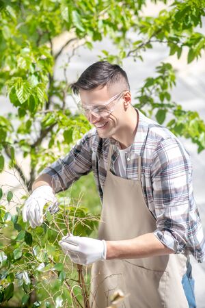 Gardening time. Delighted dark-haired male in protective glasses and gloves trimming tree outsideの写真素材