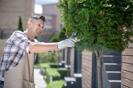 Gardening time. Dark-haired male in protective gloves trimming tree in the yard, smiling