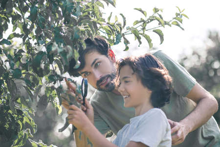 Gardening. Dad teaching his son to cut branches with secatorの写真素材