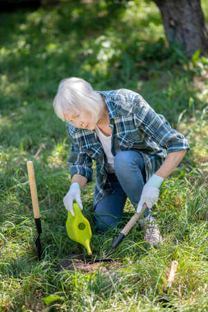 Planting. A senior woman attentively taking care of her vegetable gardenの写真素材