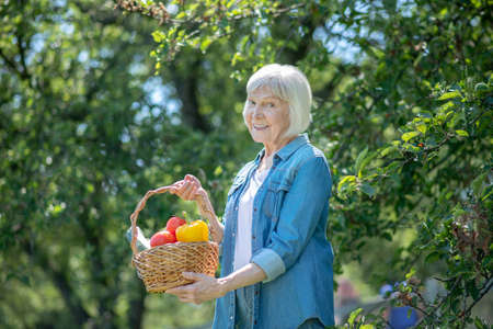 Organic vegetables. A smiling woman holding a basket with peppers and tomatoesの写真素材