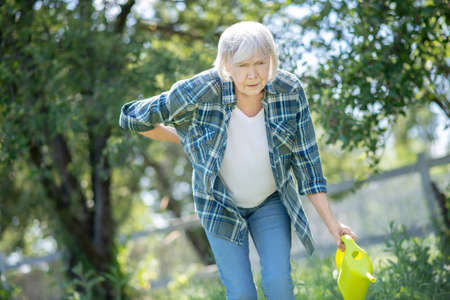 Working alone. A woman watering plants in the garden despite the back painの写真素材