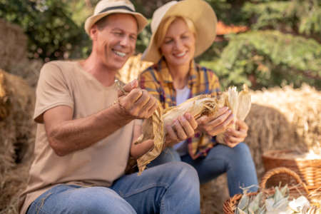 Harvest time. Happy male and female farmers sitting on hay, shucking maize cobsの写真素材
