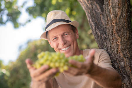 Harvest time. Happy male in straw hat showing cluster of green ripe grapes into camera