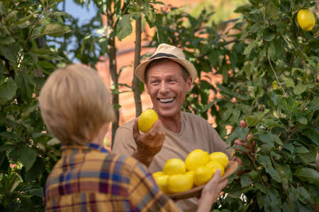 Harvest time. Happy couple picking lemons in the garden