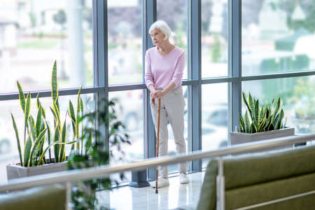 At the window. Elderly woman with a walking stick standing near the windowの写真素材
