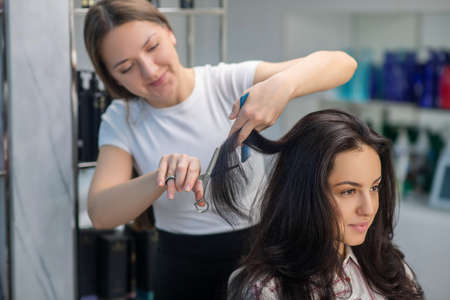 New haircut. Female hairdresser doing a new haircut to her customerの写真素材