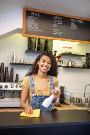 Pretty woman wiping bar counter in coffee house
