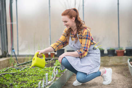 Smiling woman with watering can crouched near greeneryの写真素材