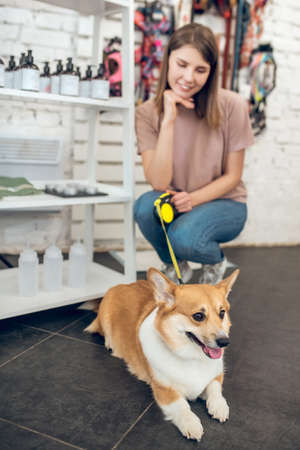 Dark-haired girl and her corgi choosing toys in a pet shopの写真素材