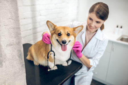 Cute smiling vet doctor with a cute dog in a clinic