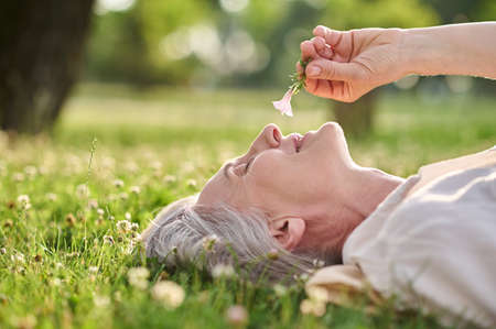 Woman admiring flower lying on grassの写真素材