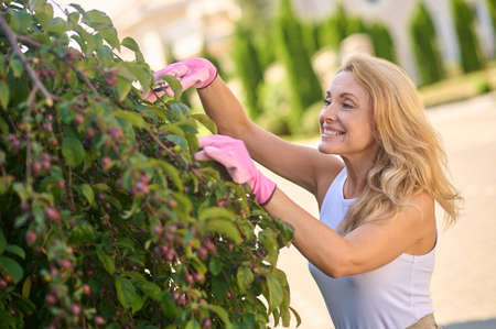 Joyful woman with garden shears near tree