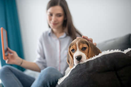 A cute young woman making selfie with her puppy and looking happyの写真素材