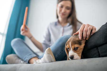 A young woman sitting on the sofa and making selfie with her puppyの写真素材