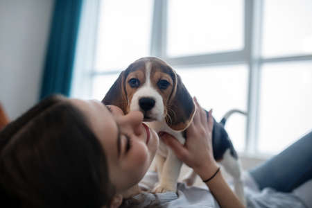 Cute little puppy looking serious while his owner playing with hime