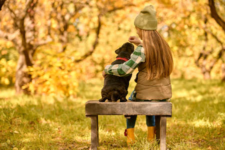 A girl sitting on the bench with her dog in the parkの写真素材