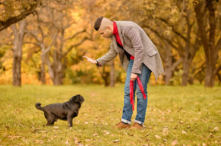 A pet owner on the walk with his friendの写真素材