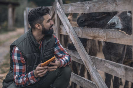 A bearded man with a tablet in hands on a cattle-farmの写真素材