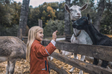 Farmer and his daughter standing close to donkeys at the farmの写真素材