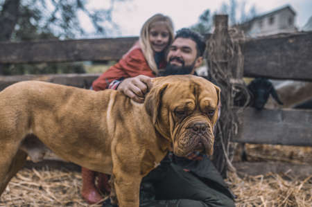 A cute girl and his father with their dog at the farmの写真素材